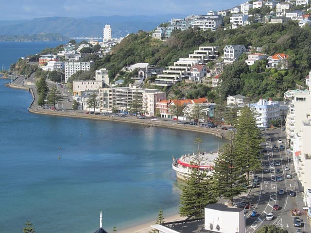 Oriental Bay: Beaches, Walks, and Things to Do by the Water